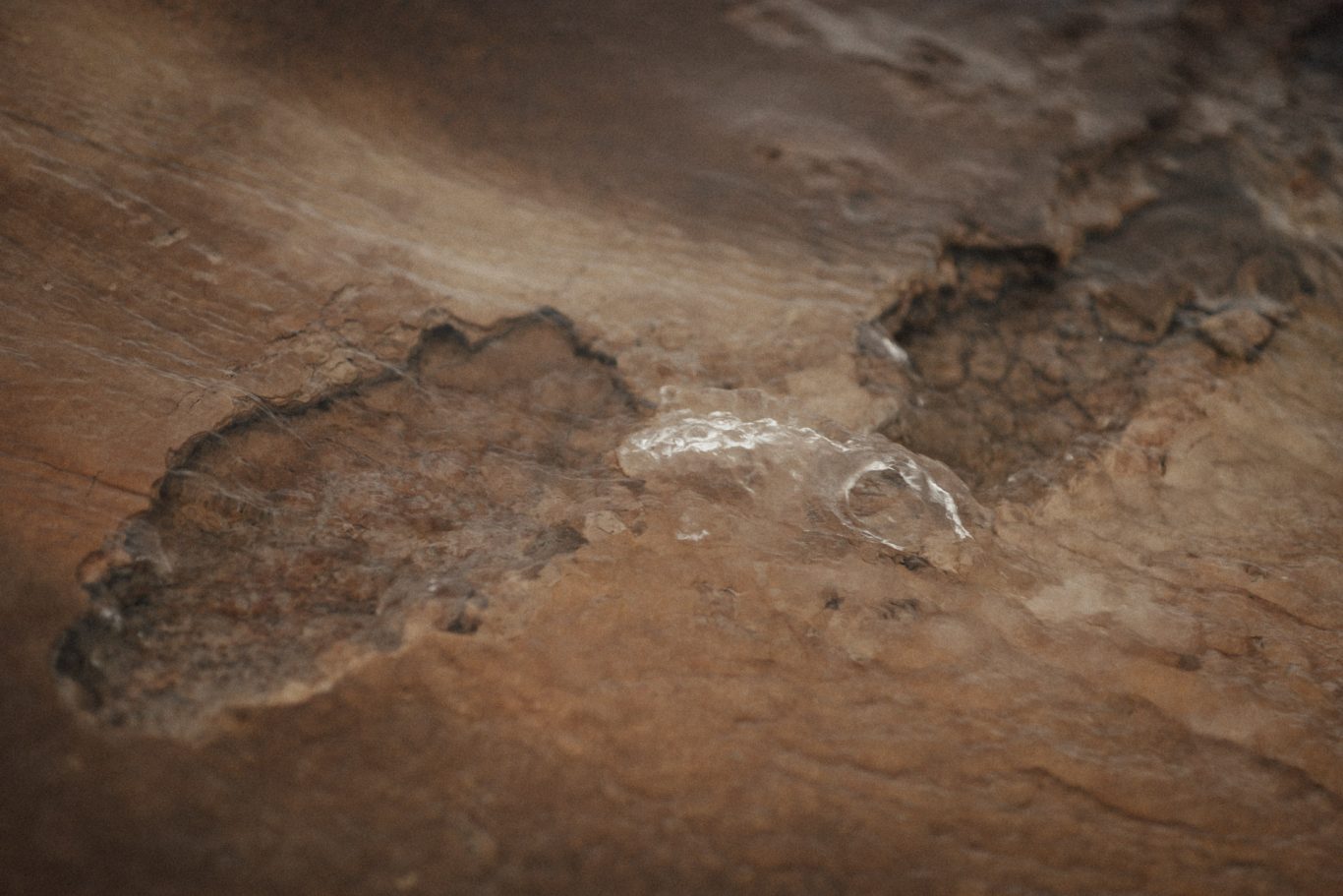 Die 4 Elemente Die 4 Elemente