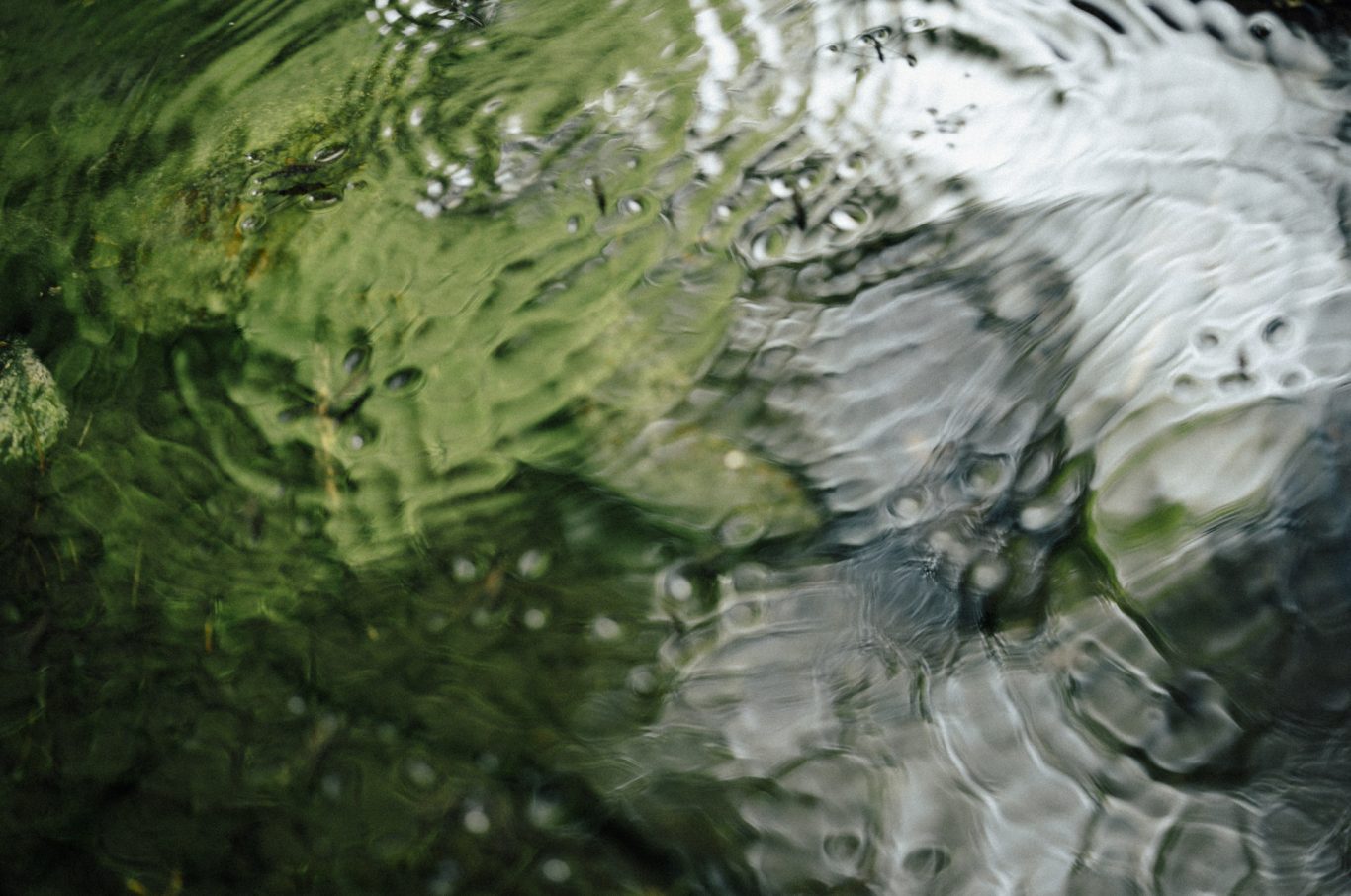 Die 4 Elemente Die 4 Elemente