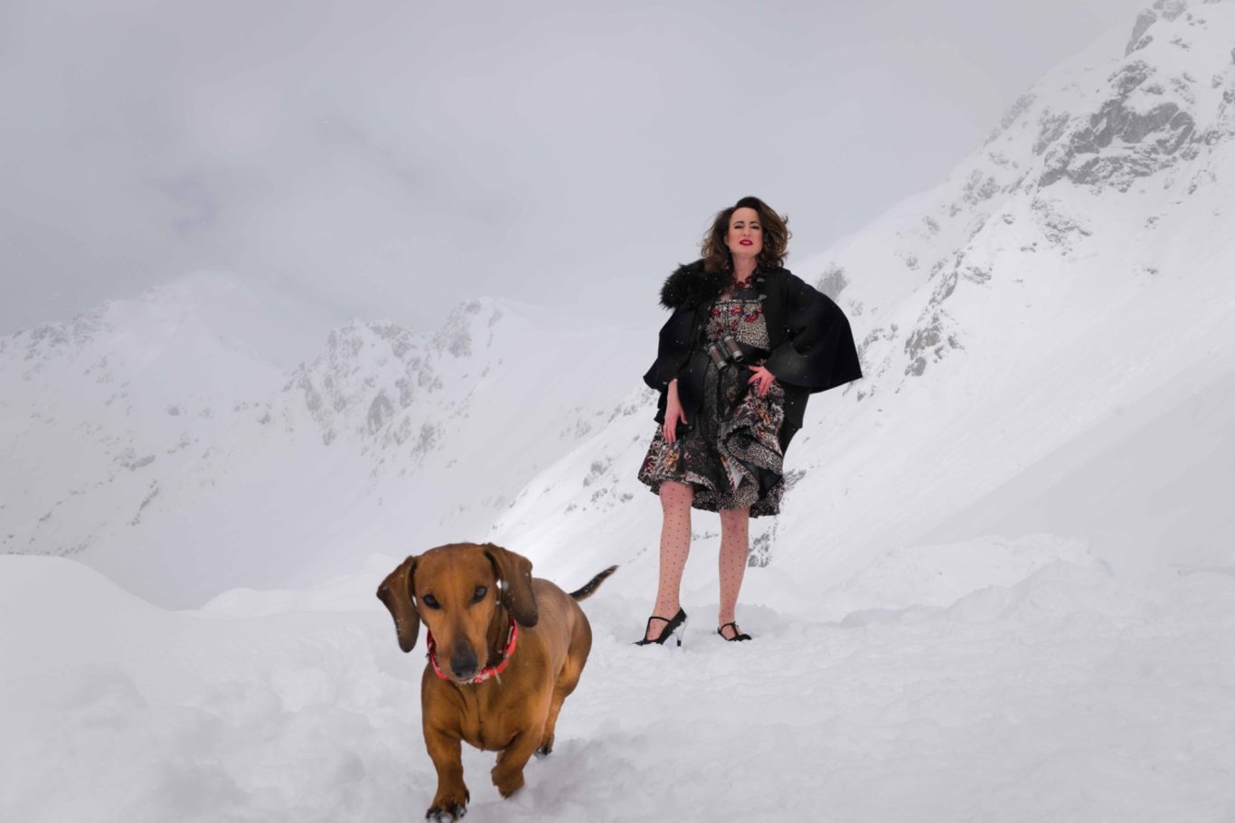 Alpengeschichten Alpengeschichten